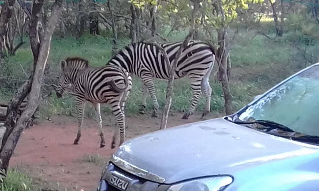 Nanisto Bush Lodge Marloth Park Exterior foto