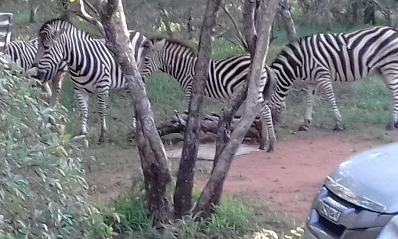 Nanisto Bush Lodge Marloth Park Exterior foto